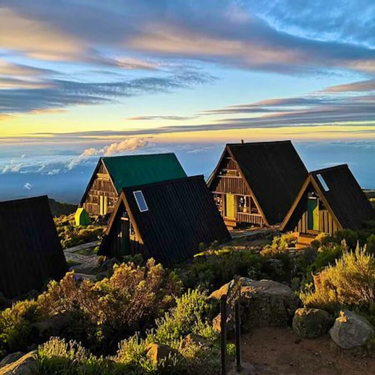 5 Days Mount Kilimanjaro climbing on Marangu Route