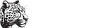 AUTHENTIC VACATIONS ADVENTURES