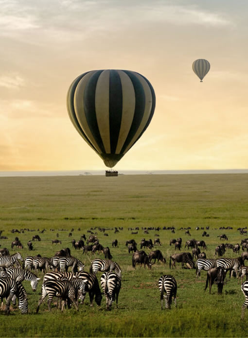 SERENGETI BALLOON SAFARI SERENGETI BALLOON SAFARI