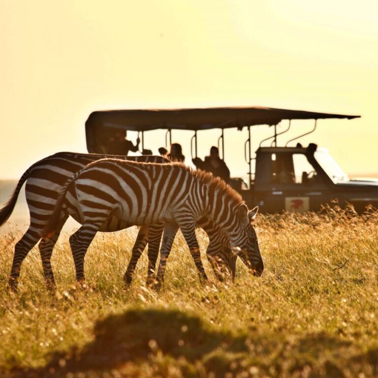 10 Days Safari Itinerary – Tanzania Safaris and Zanzibar Vacation