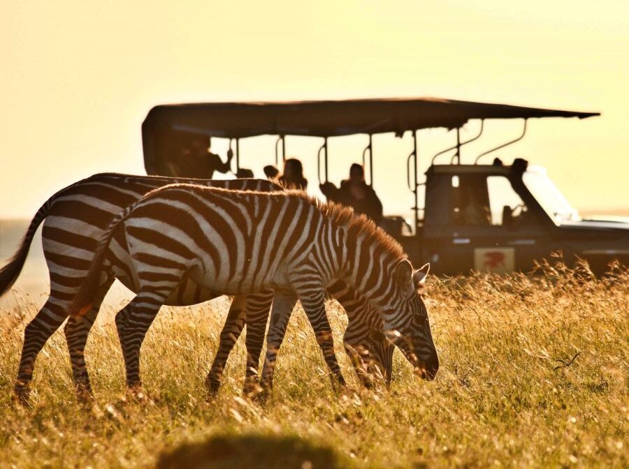 10 Days Safari Itinerary – Tanzania Safaris and Zanzibar Vacation
