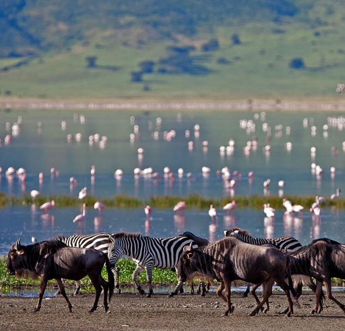 2 Days Safari Itinerary – Lake Manyara and Ngorongoro Crater