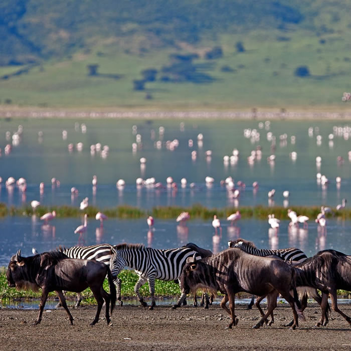 2 Days Safari Itinerary – Lake Manyara and Ngorongoro Crater