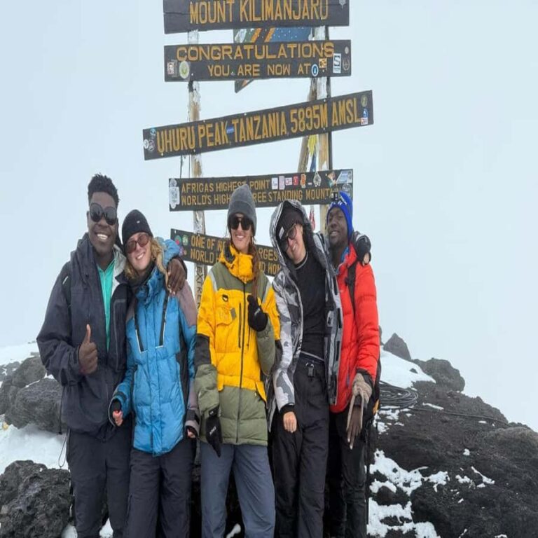 6 Days Mount Kilimanjaro climbing on Lemosho Route