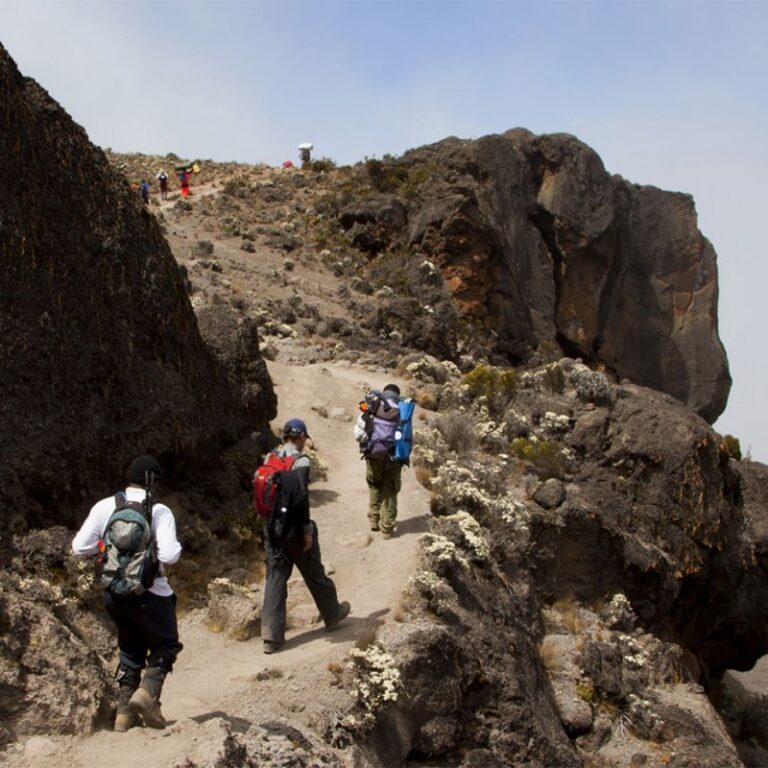 6 Days Mount Kilimanjaro climbing on Umbwe Route