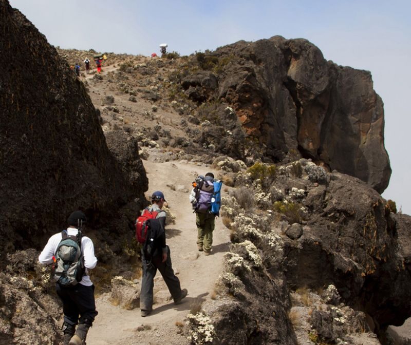 6 Days Mount Kilimanjaro climbing on Umbwe Route