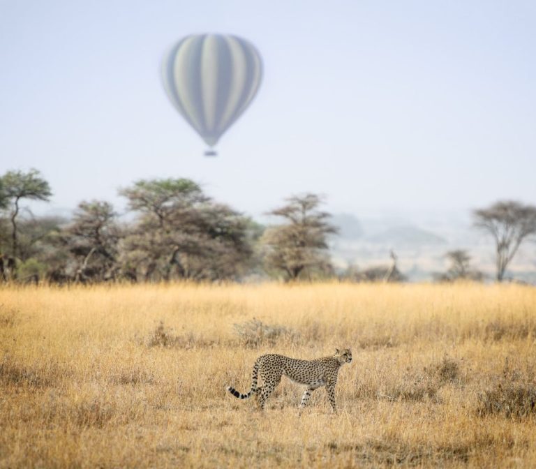 6 Days Safari Itinerary – Selous Game Reserve & Mikumi National Park