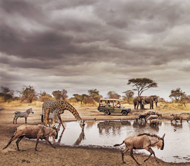 7 Day Safari Itinerary – Lake Manyara, Serengeti, Ngorongoro, Tarangire