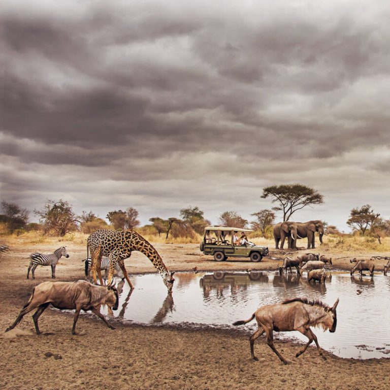 7 Day Safari Itinerary – Lake Manyara, Serengeti, Ngorongoro, Tarangire