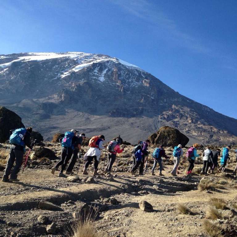 8 Days Mount Kilimanjaro climbing on machame Route