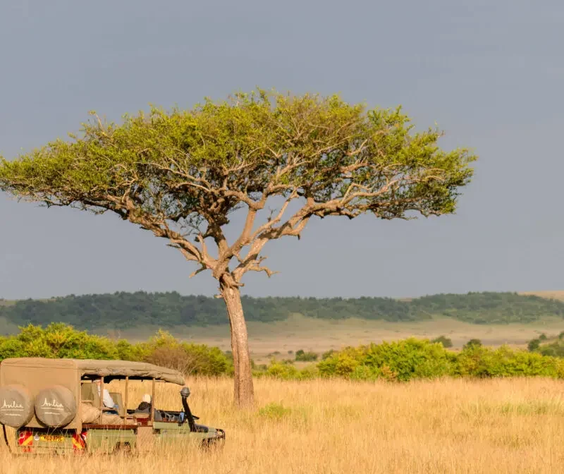 9 Days Safari Itinerary – Game Drive & Walking Safari