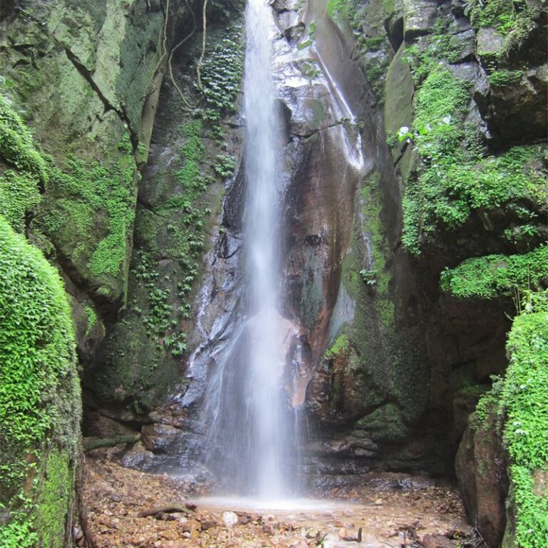 About Gombe Stream National Park