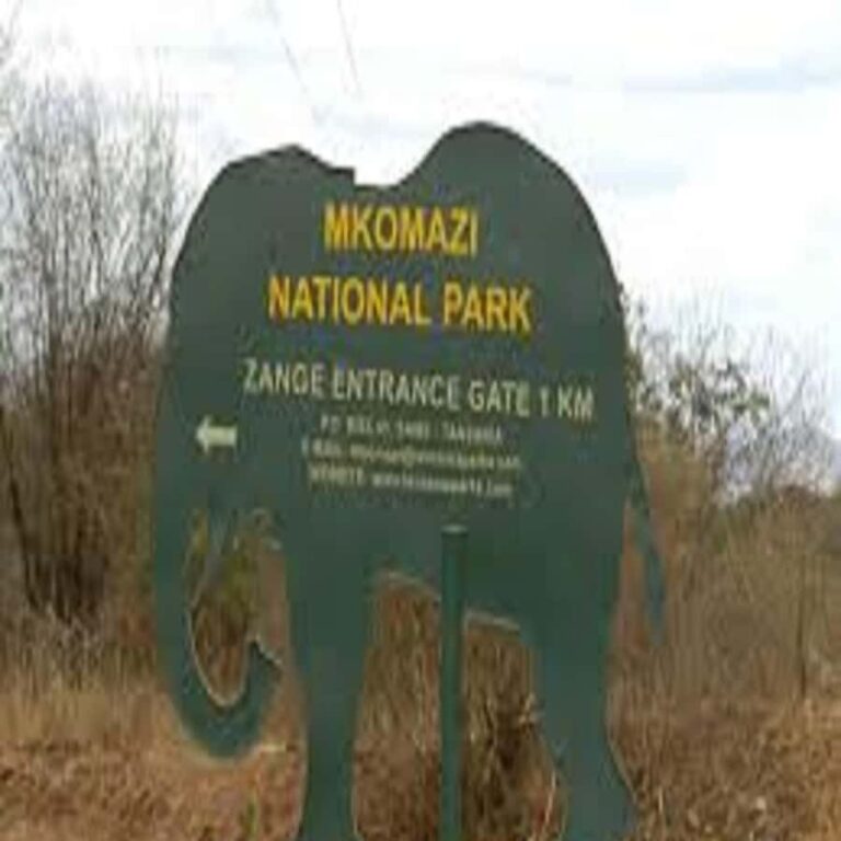 About Mkomazi Game Reserve