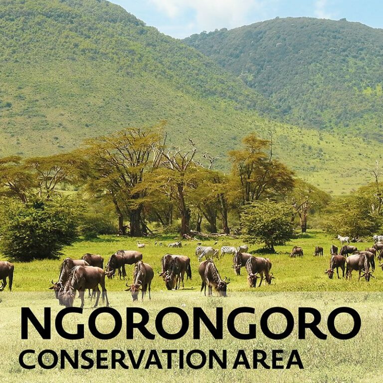 About Ngorongoro Conservation Area