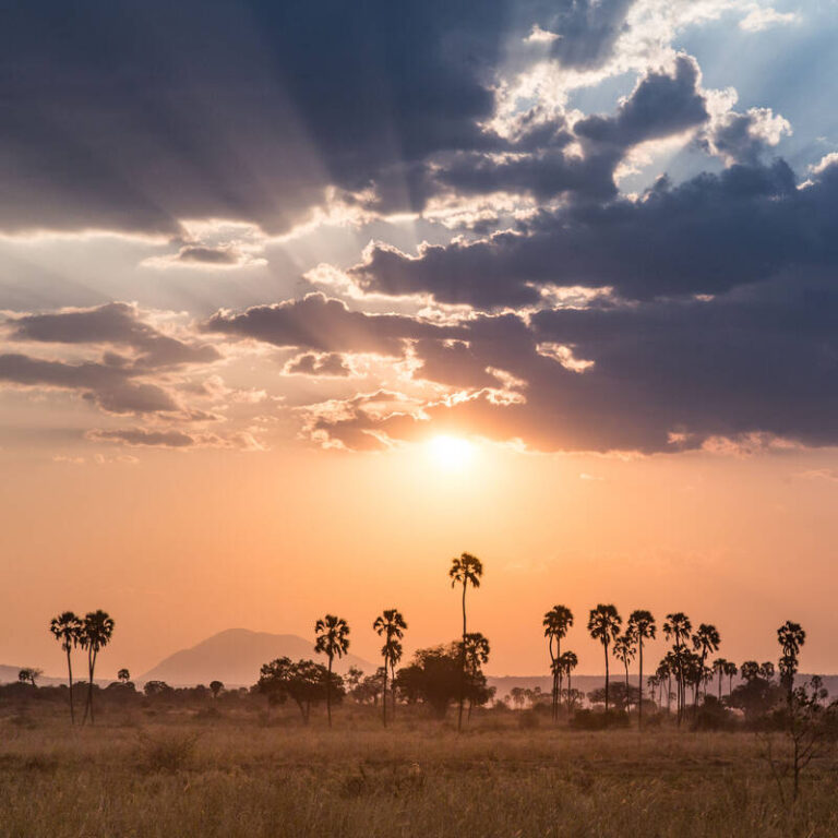 About Ruaha National Park