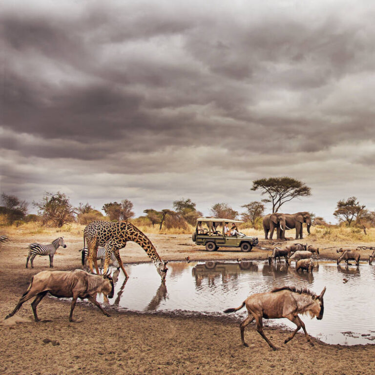 About Tarangire National Park