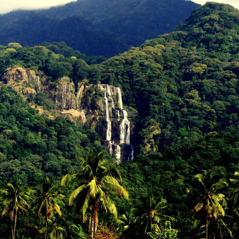 About Udzungwa Mountains National Park