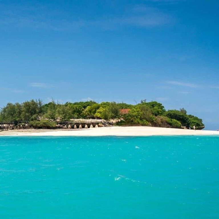 Full Day – Zanzibar Jozani Forest, Spice Farm & Prison Island