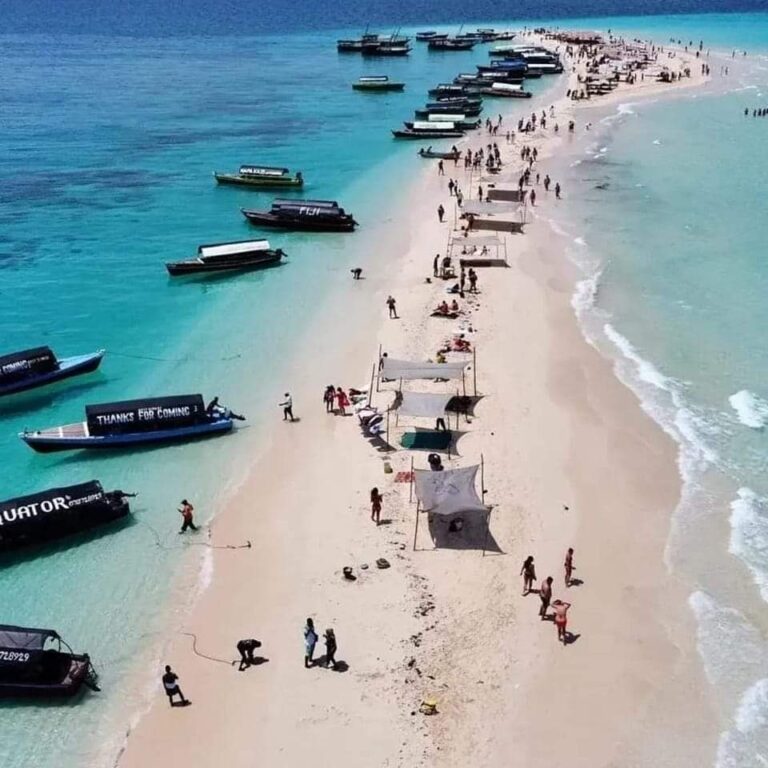 Half-Day – Nakupenda Sandbank Tour