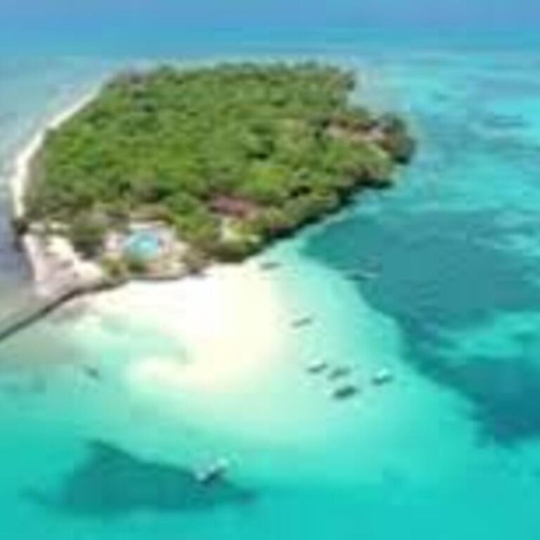 Half-Day – Prison Island/ Changuu Island Tour