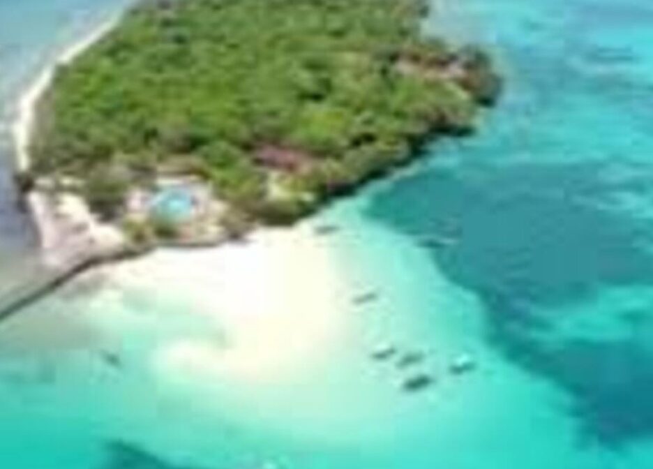 Half-Day – Prison Island/ Changuu Island Tour