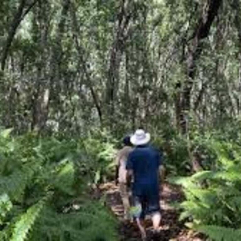 Half-Day Village Spice Farm Tour