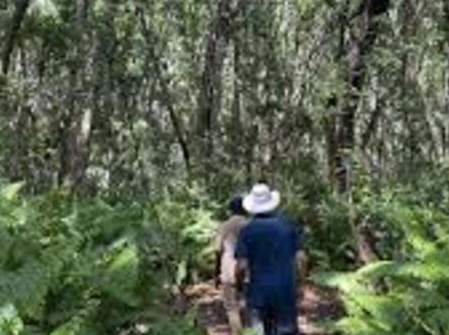 Half-Day Village Spice Farm Tour