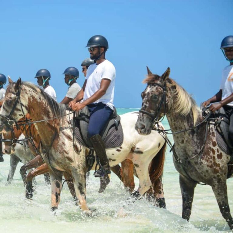 Half-Day Zanzibar Horse Riding Tour