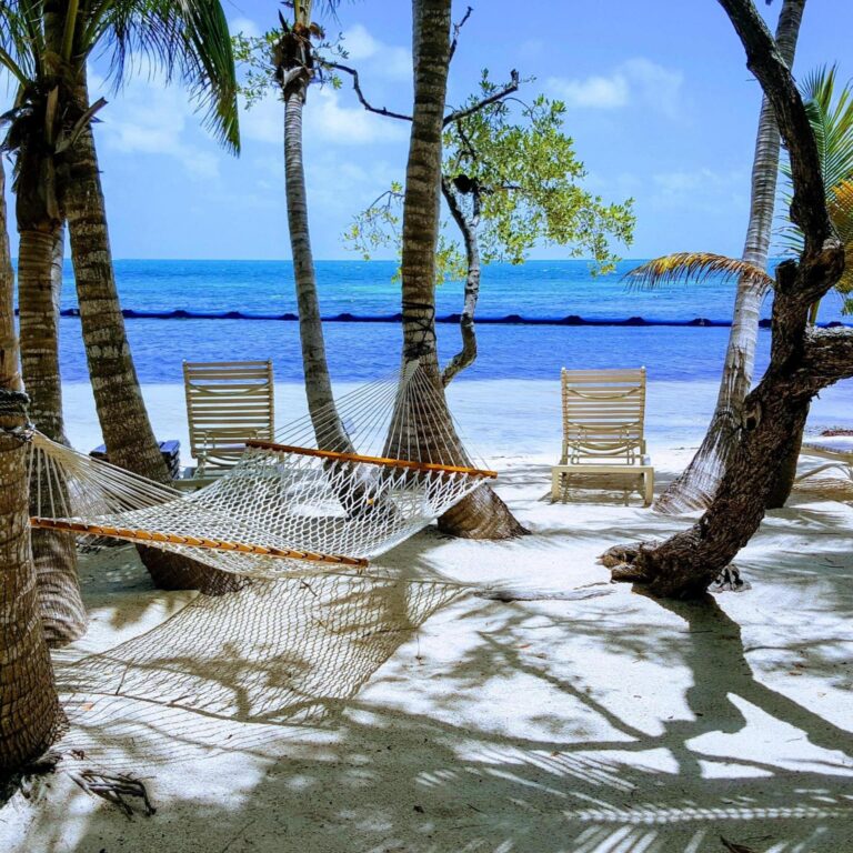 Zanzibar Prison Island & Bawe Island Snorkeling