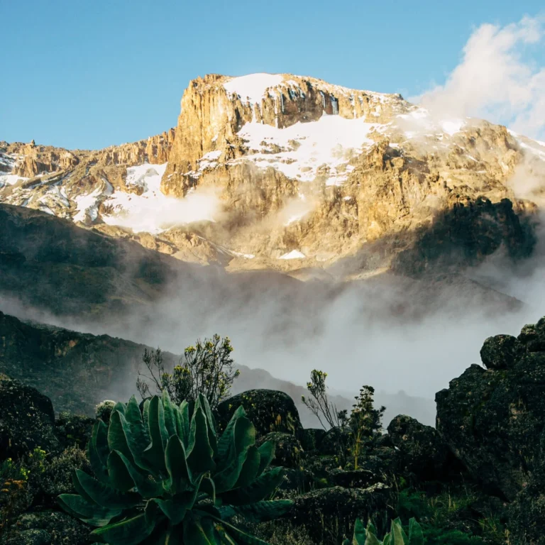 About Kilimanjaro Western Breach Route