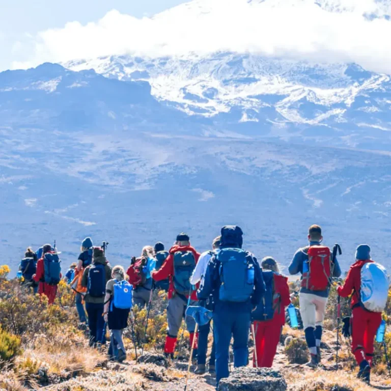 6 Days Mount Kilimanjaro climbing on Rongai Route