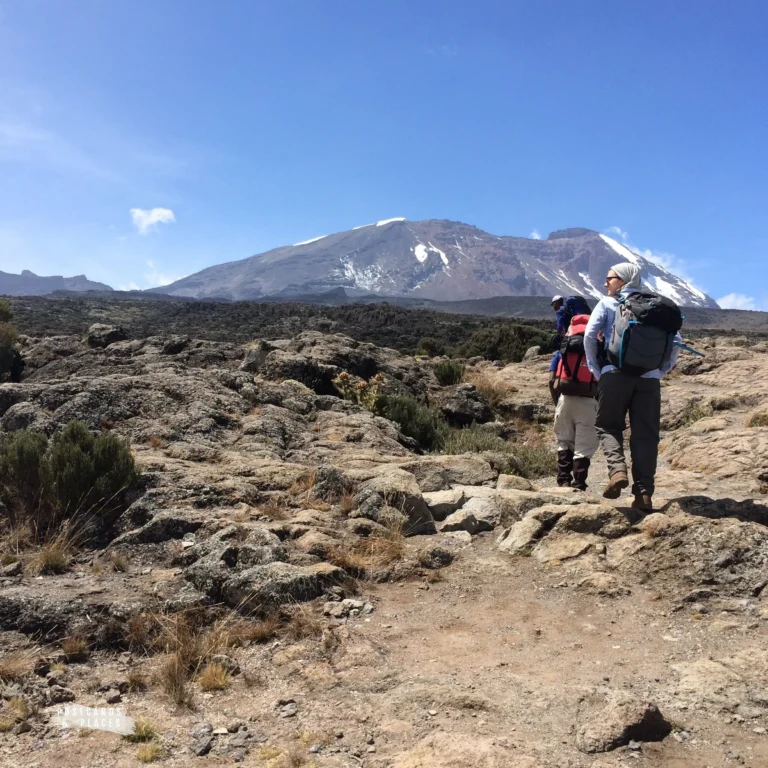 About Kilimanjaro Shira Route