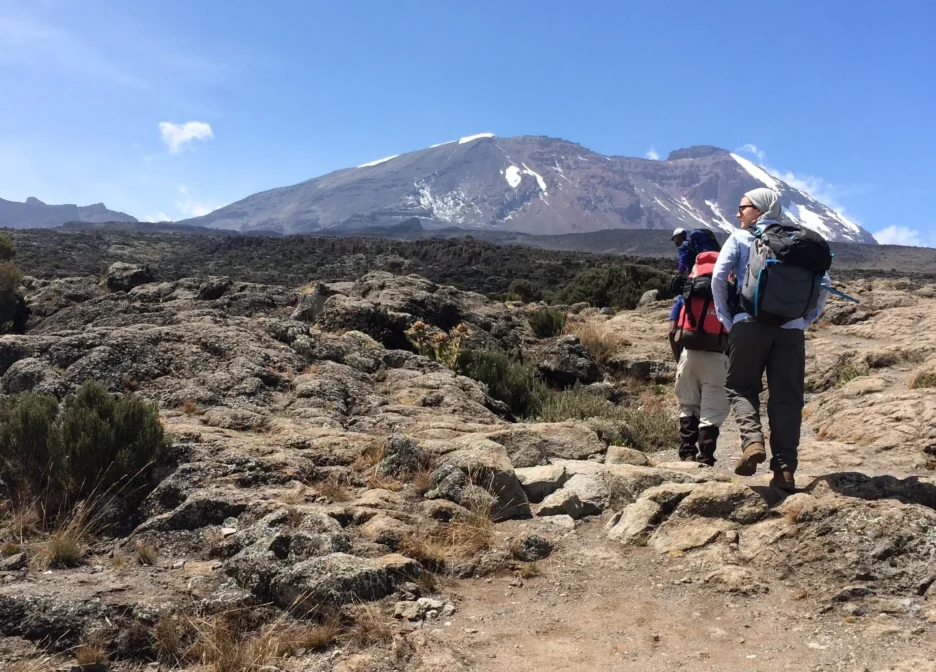 About Kilimanjaro Shira Route
