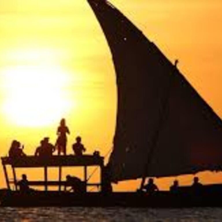 Nungwi Turtles & Private Sunset Dhow Cruise