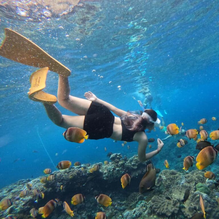 Zanzibar Bawe Island Snorkeling