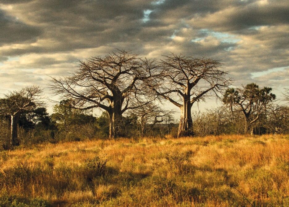 Cultural Tourism in Tanzania Visiting Gezaulole