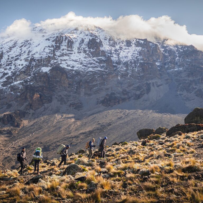 4 Days Safari Itinerary – Selous Game Reserve