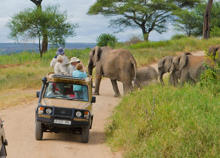 About Tanzania Wildlife Safaris