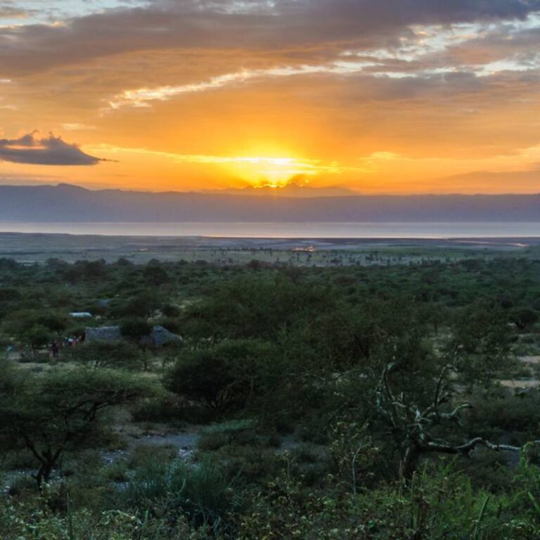 About Saadani National Park