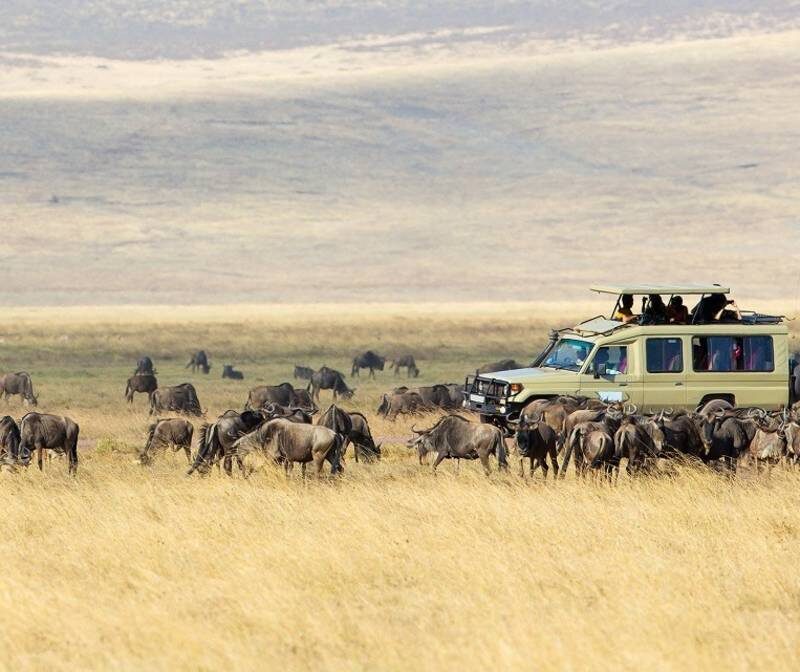 8 Days Safari Itinerary – Manyara, Lake Eyasi, Ngorongoro, Serengeti, Visit Village