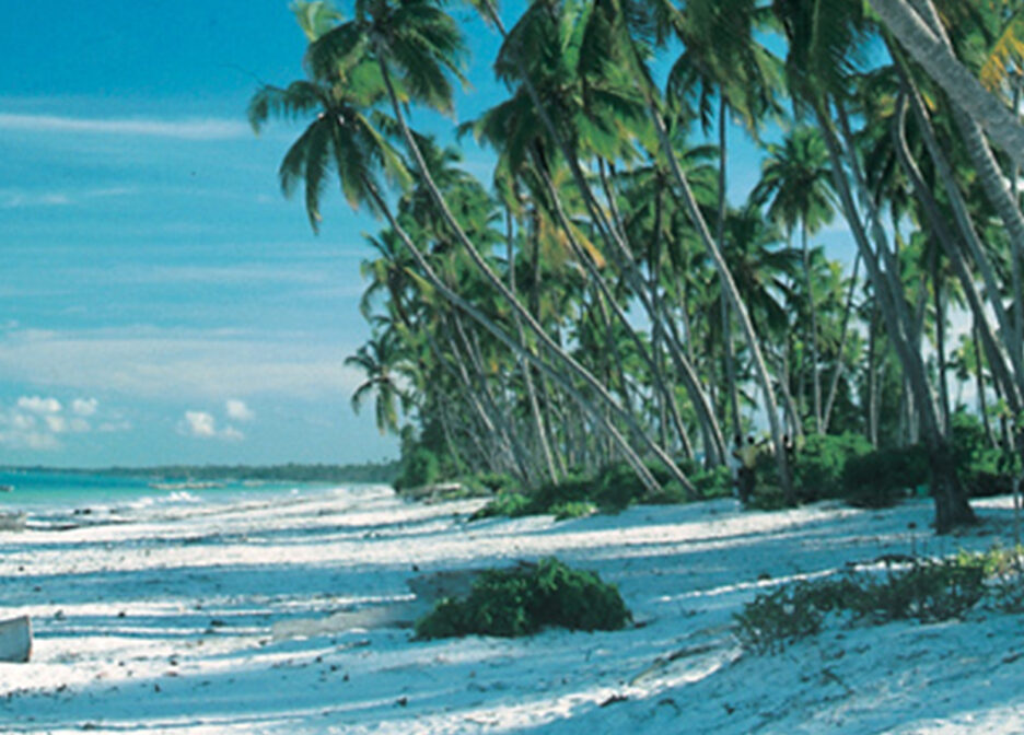 Zanzibar Full Day Local Village Tour & Nature Trails