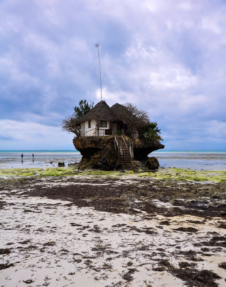 Snorkeling & Lunch At The Rock Restaurant